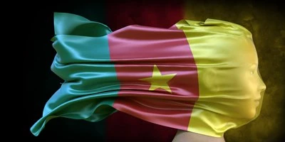Drapeau du Cameroun stylisé.